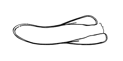 男性器サポート